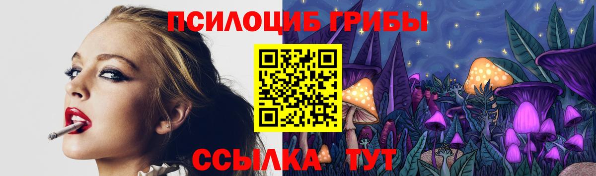 Галлюциногенные грибы Cubensis Волжск