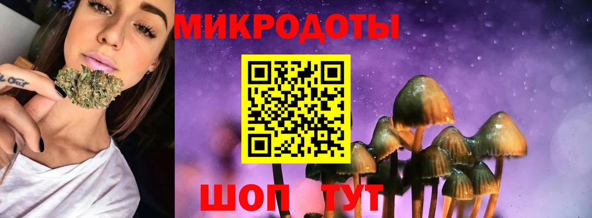 Волжск  где купить наркоту  Галлюциногенные грибы MAGIC MUSHROOMS  Вход с VPN  Галлюциногенные грибы MAGIC MUSHROOMS 